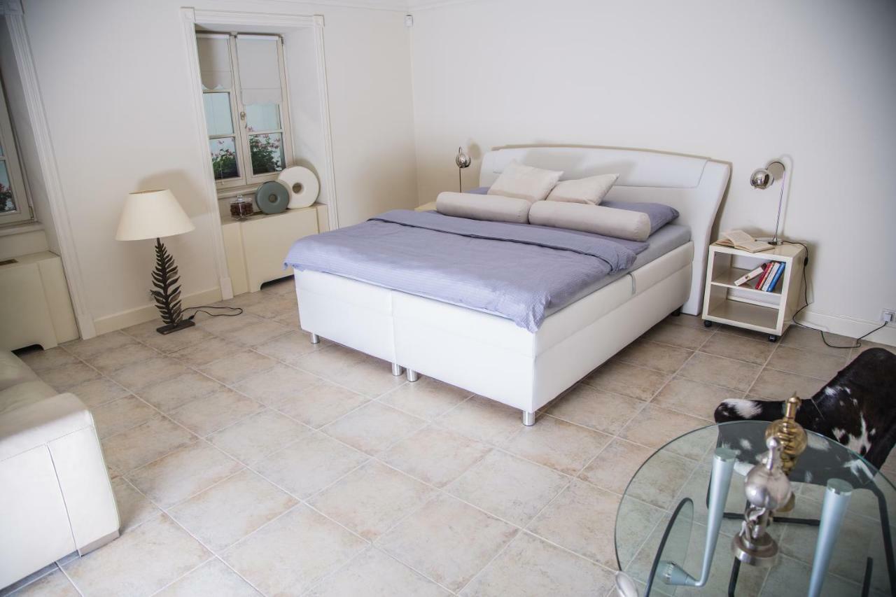 President Boutique Apartment II 布尔诺 外观 照片