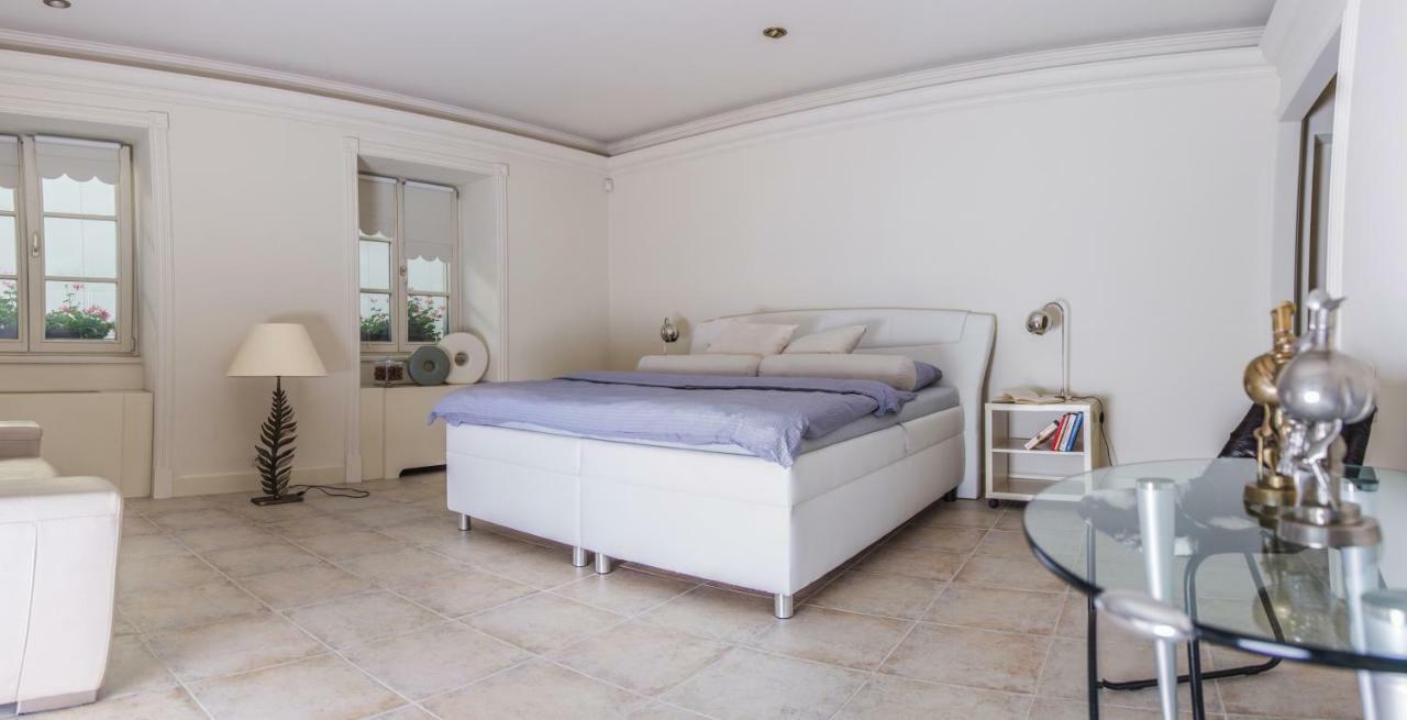 President Boutique Apartment II 布尔诺 外观 照片